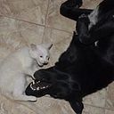 Ezequiel García Bertotti