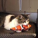 Martha Mancilla Sanchez