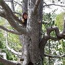 Agnieszka Szczepaniak