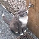 Vanesa Ochoa Hoffmann