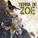 Víctor Truhán Verbenero