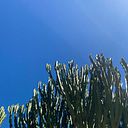 Insaf Mohamed Azouagh