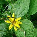 Nancy Gabriela Moreno Albuja