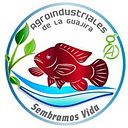 Marlon Polanco Socarras