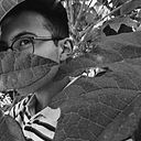 Daniel Mesa Farias