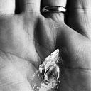 Carlos Alvarez Zúñiga