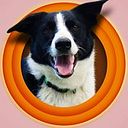 Sergio Gómez Castrillón