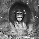 Pedro Martínez Ramírez