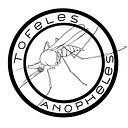 Cristina Andreu Prego