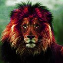 Jose Benito Torrico Macias