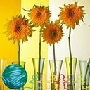 Reyna Penélope Díaz Puerto