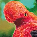 Carlos Maduro Velasquez