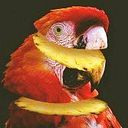 Borja Petit Mengibar