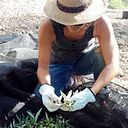 Anahí Aliaga Loreto