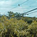 Paula Sofia Barrera Calier