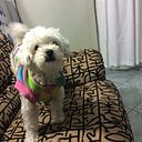 Fabiola Rodríguez Márquez