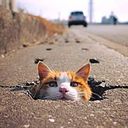 Nataly Paola Aguirre Marquez