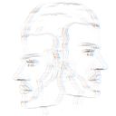 Neftalí Frías Mackenzie