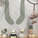 alessandra ballester