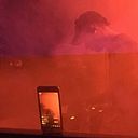 Mario González Alvarado