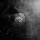 Eduarda Andrade Williams