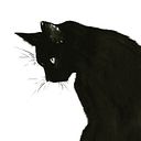 Rodrigo Sáez Muñoz