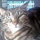 Paco Burgos Guerrero