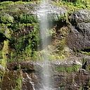 Francisco Ramos Gallego