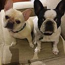 Sandra Catalina Gomez Marin