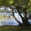 marianela_matamala_m