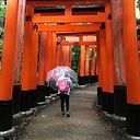 Diana Redondo Mesén