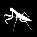 La Mantis Diseño web y marketing digital