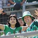 Hilacha Verde