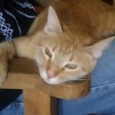 Marcela Alvarez del Castillo