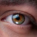 Rodrigo Campos Montero