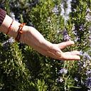 Maricarmen Alvarez Alfonso