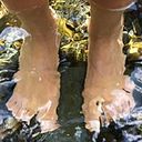 Mónica Peláez Montoya