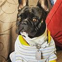 Miguel Zimbron Rivero