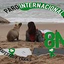 Elizabeth Lilian del Rio