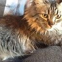 Elena Urbina Rodriguez