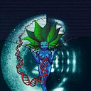 Donata Díaz Viñals