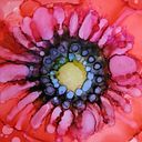 Maria Augusta Zambrano Costales