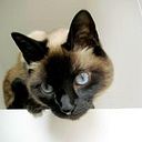 Catalina Rugeles Schoonewolff