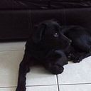 Elvira Emperatriz Zelada Villegas