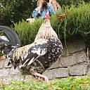 Laura María Romero Rubiño