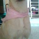 Jhonny Nieto Espinosa