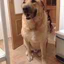 Jose Luis Perez Casado