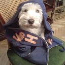 Ignacio Simon Garcia