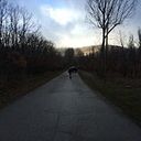 Ismael Sanchez Manzanero