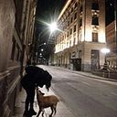 Victoria SinÓrganos